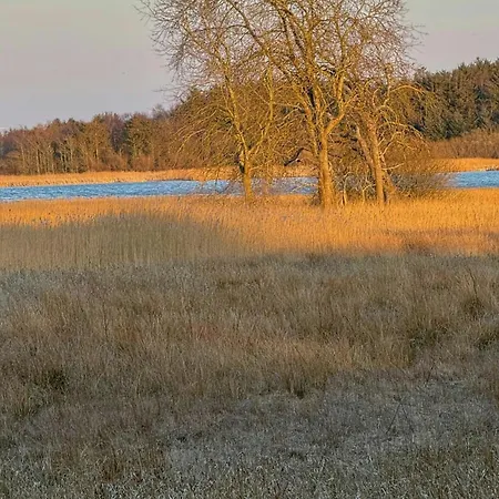 Casa vacanze Modern By Limfjord