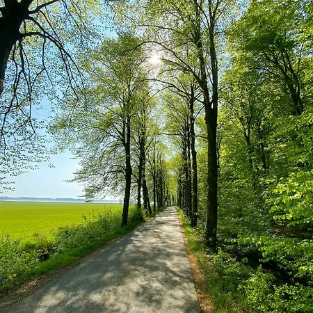 Modern By Limfjord * Oster Assels